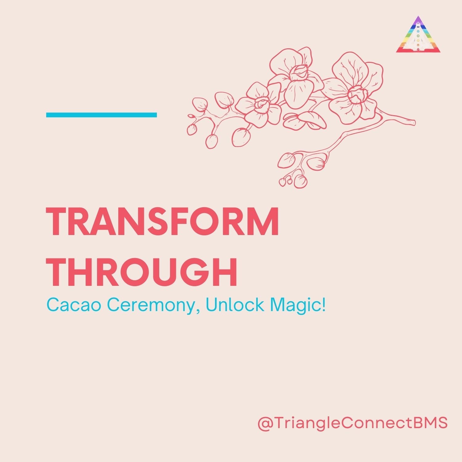 "Experience Transformation: Unlock the Magic of Cacao Ceremonies!"